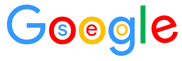 seo v googlu