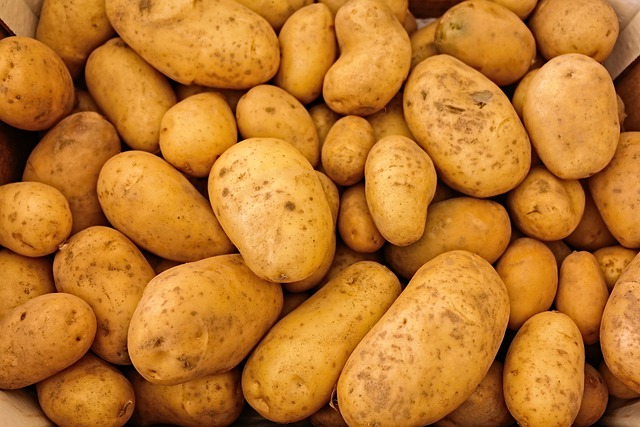 konzumní brambory